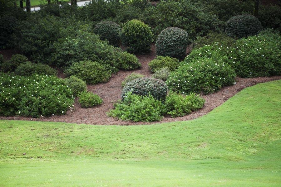 Landscaping project 2