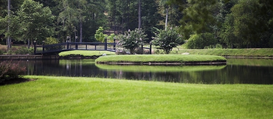 Landscaping project 5