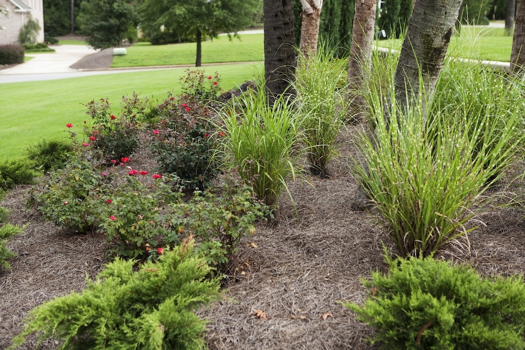 Landscaping project 6